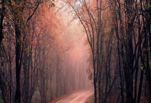 电脑win10下载不了软件，windows10怎么下载不了软件