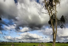 windows11家庭版升级专业版，windows11家庭版升级专业版 多少钱