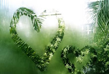 win10安装不了软件是什么原因，windows10安装不了软件怎么办